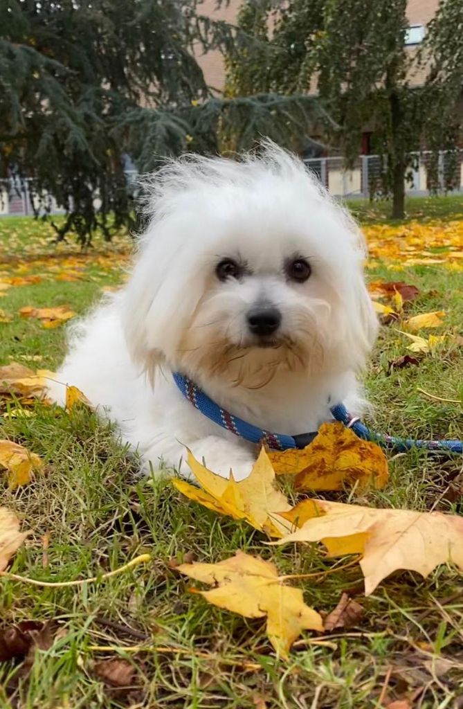 Replay Des Sentiers du Perche