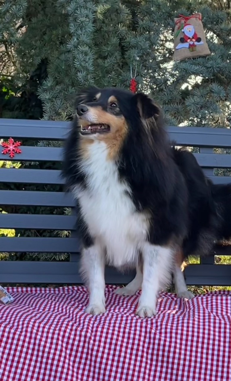 SUZON Des Sentiers du Perche