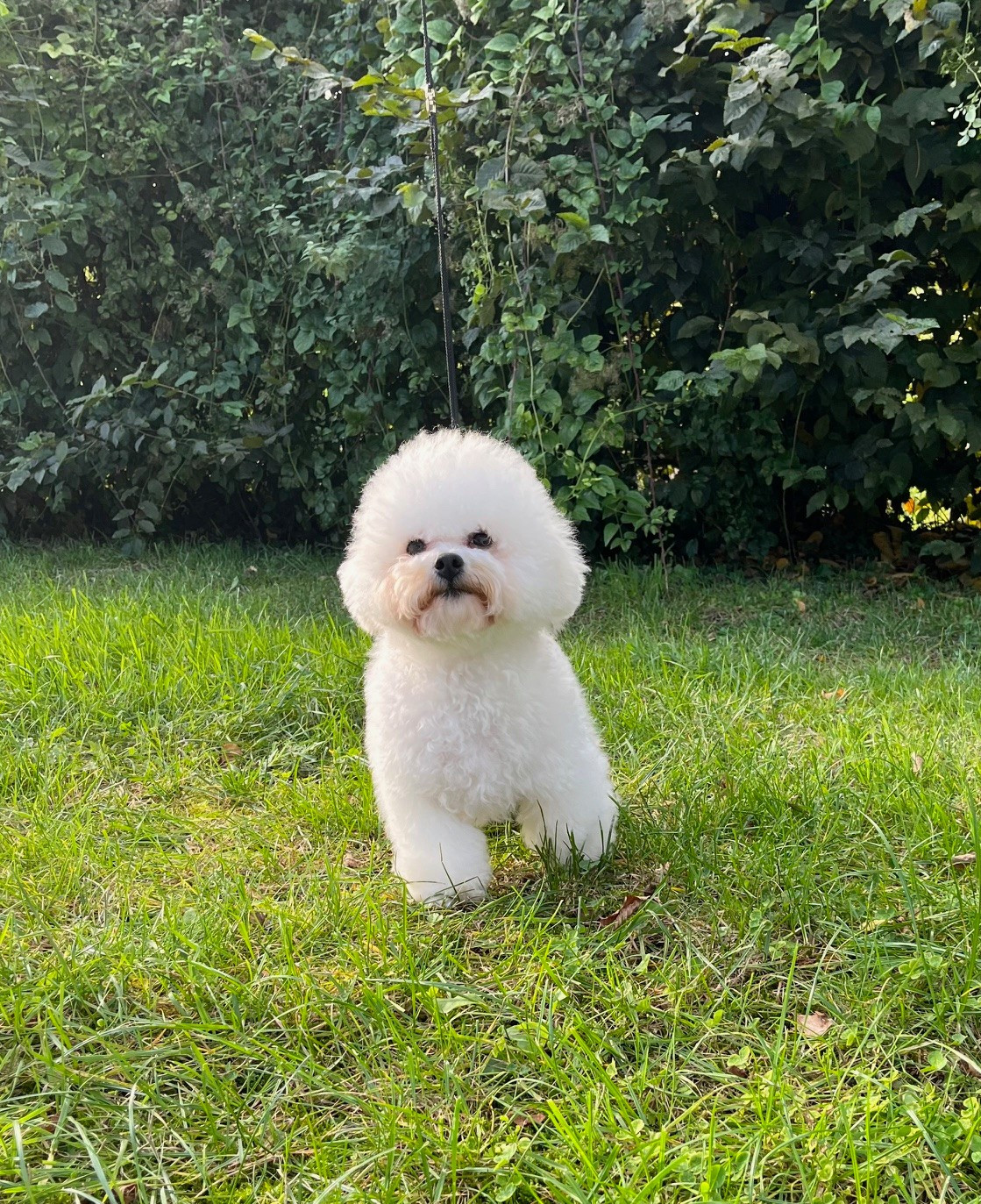 UBELLE Des Sentiers du Perche